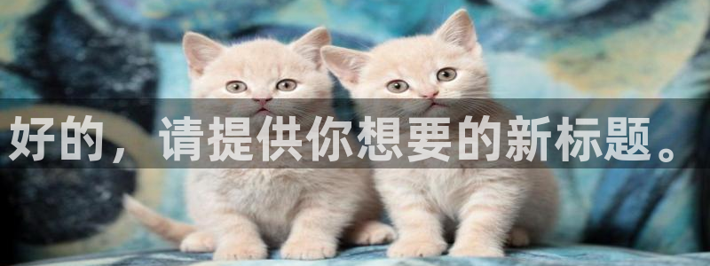 omofun动漫官网网页版入口