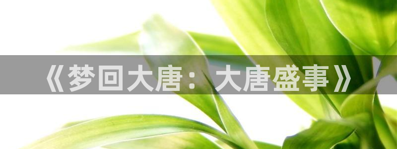 omo fun：《梦回大唐：大唐盛事》